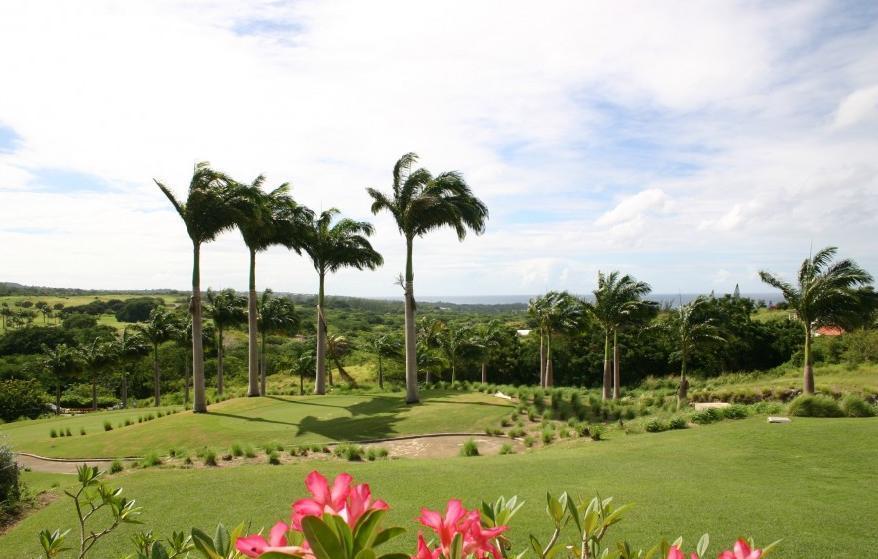 Coconut Grove 1, Luxury Villa By Island Villas سانت جيمس الغرفة الصورة