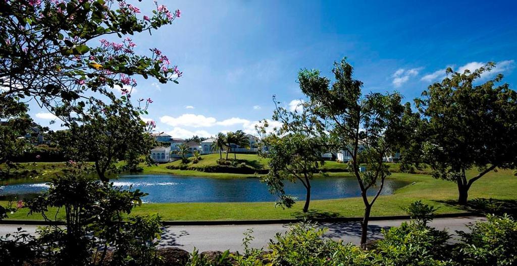 Coconut Grove 1, Luxury Villa By Island Villas سانت جيمس المظهر الخارجي الصورة