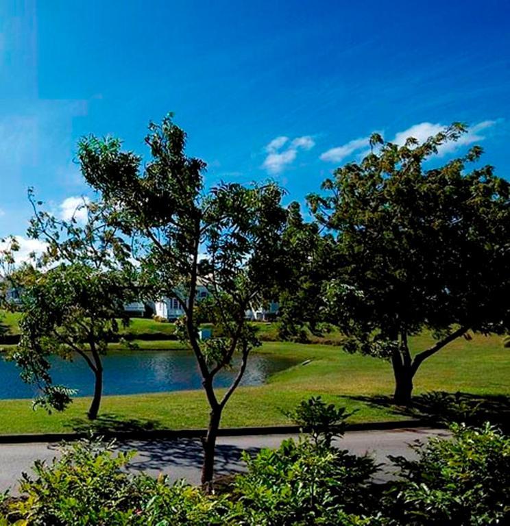 Coconut Grove 1, Luxury Villa By Island Villas سانت جيمس المظهر الخارجي الصورة